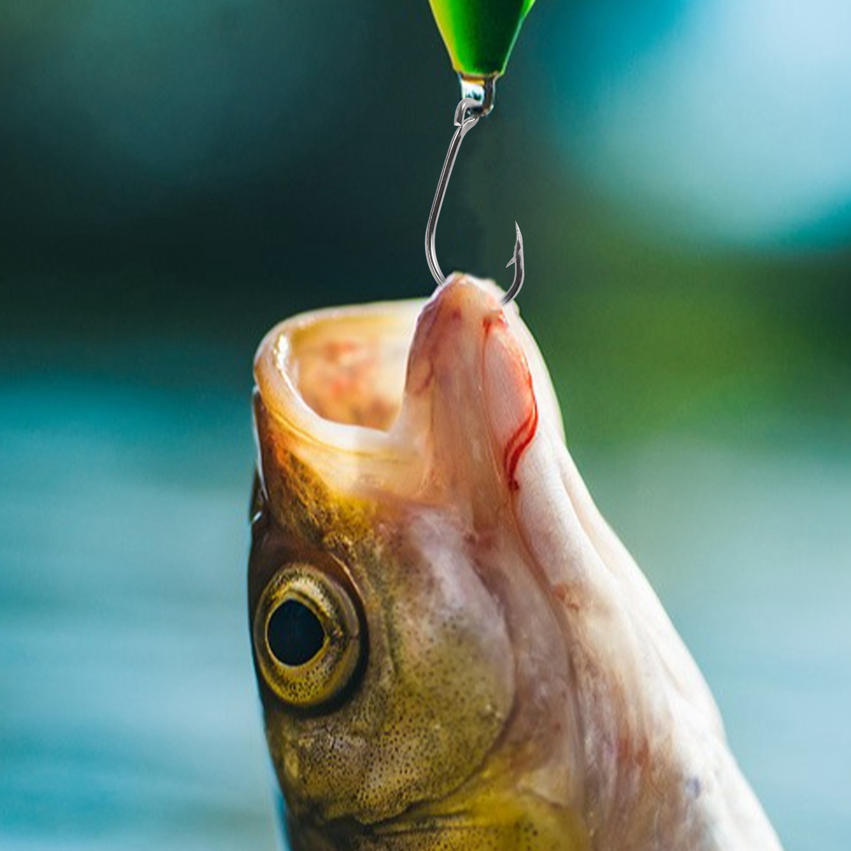 Neu eingetroffen: 500 Stück/Se – Fishing Hook Size Bewertung und Preis