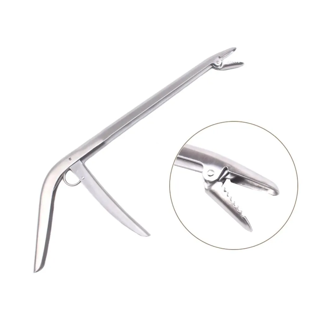 SANLIKE Edelstahl Angeln Lip G – Fishing Hook Remover Bewertung und Preis